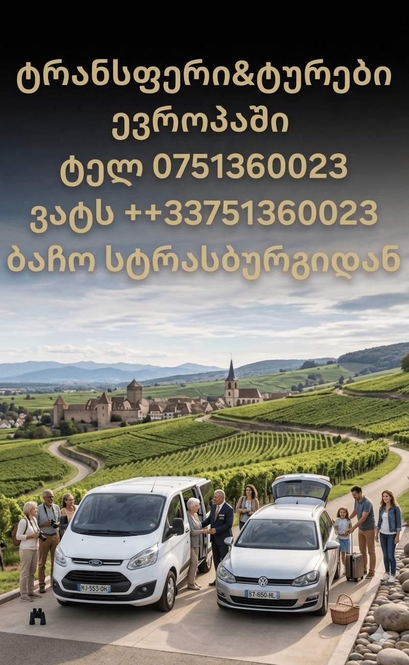 ტრანსფერი • other